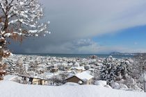 円山公園から眺めた写真