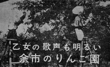 写真：『広報よいち』臨時号(昭和38年6月10日)の袋かけ募集記事