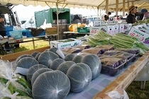 青果物、野菜もあるよ！