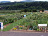 山田市民農園の風景